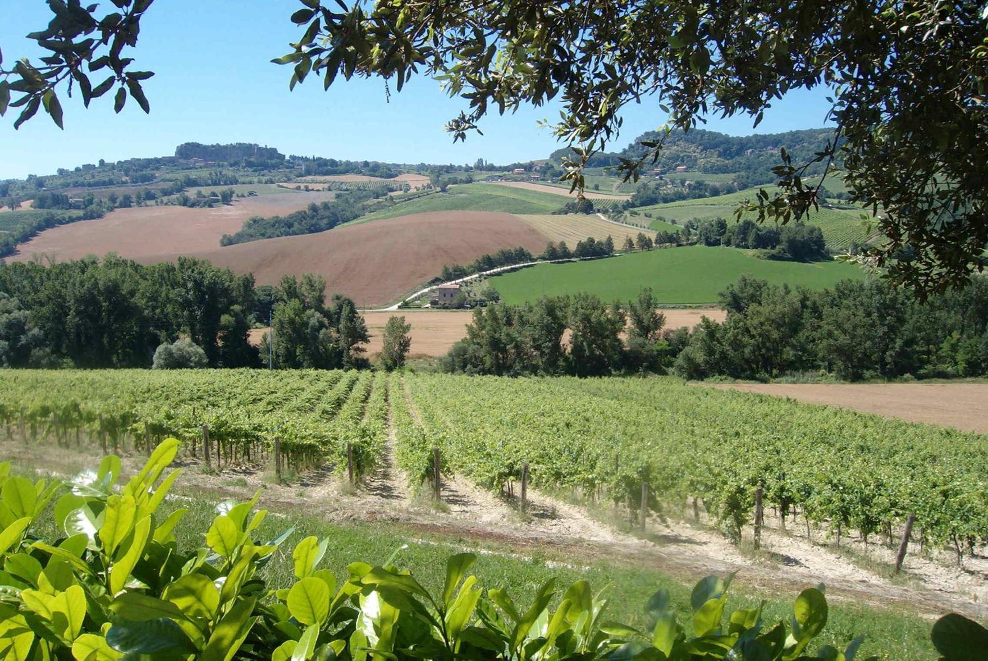 Agriturismo Cioccoleta Orvieto Exterior foto